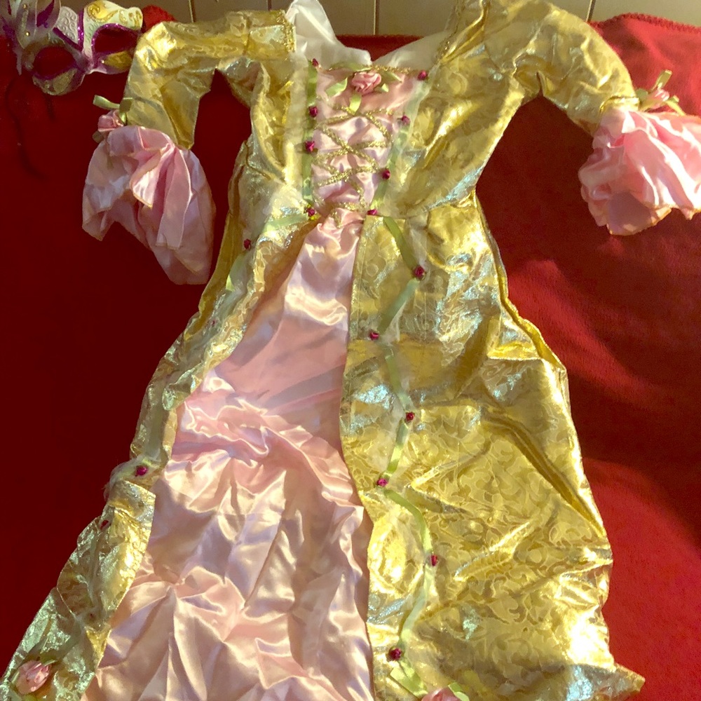 Beauitful costume only worn 1 hr last year